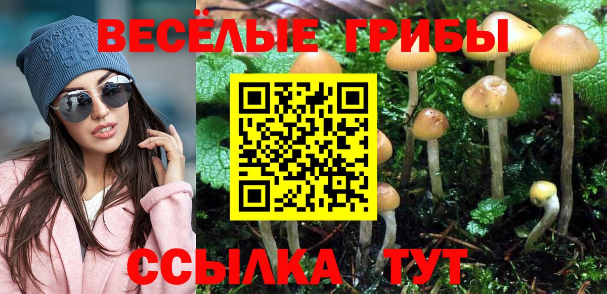Нижнекамск  Галлюциногенные грибы прущие грибы  Вход с VPN  Галлюциногенные грибы GOLDEN TEACHER 