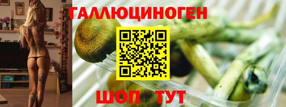Галлюциногенные грибы мухоморы Нижнекамск